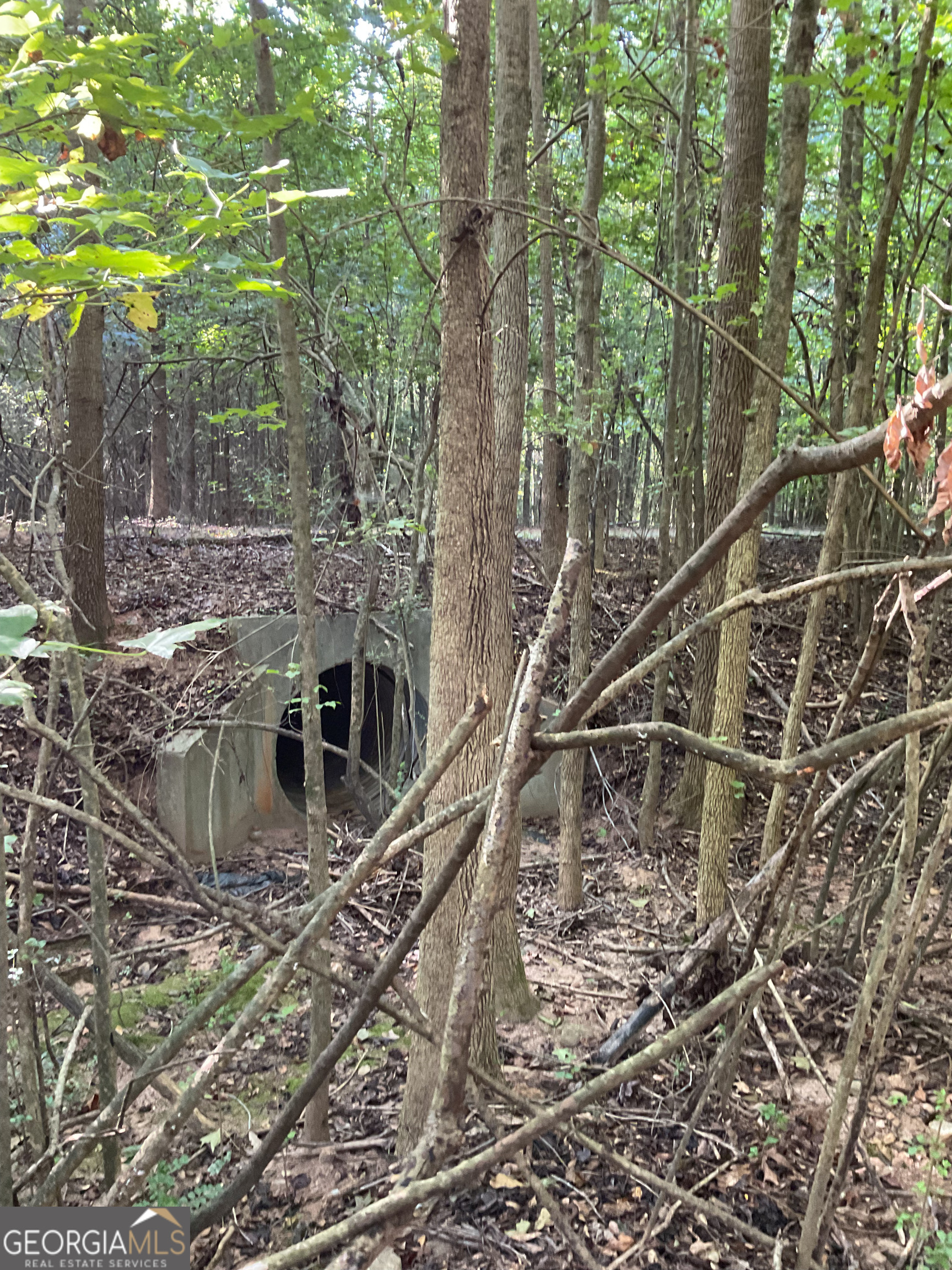 0 Bowers Street, Unit LOT 18 Bowman, GA 30624 - Photo 7 of 8 a view of a house with a yard