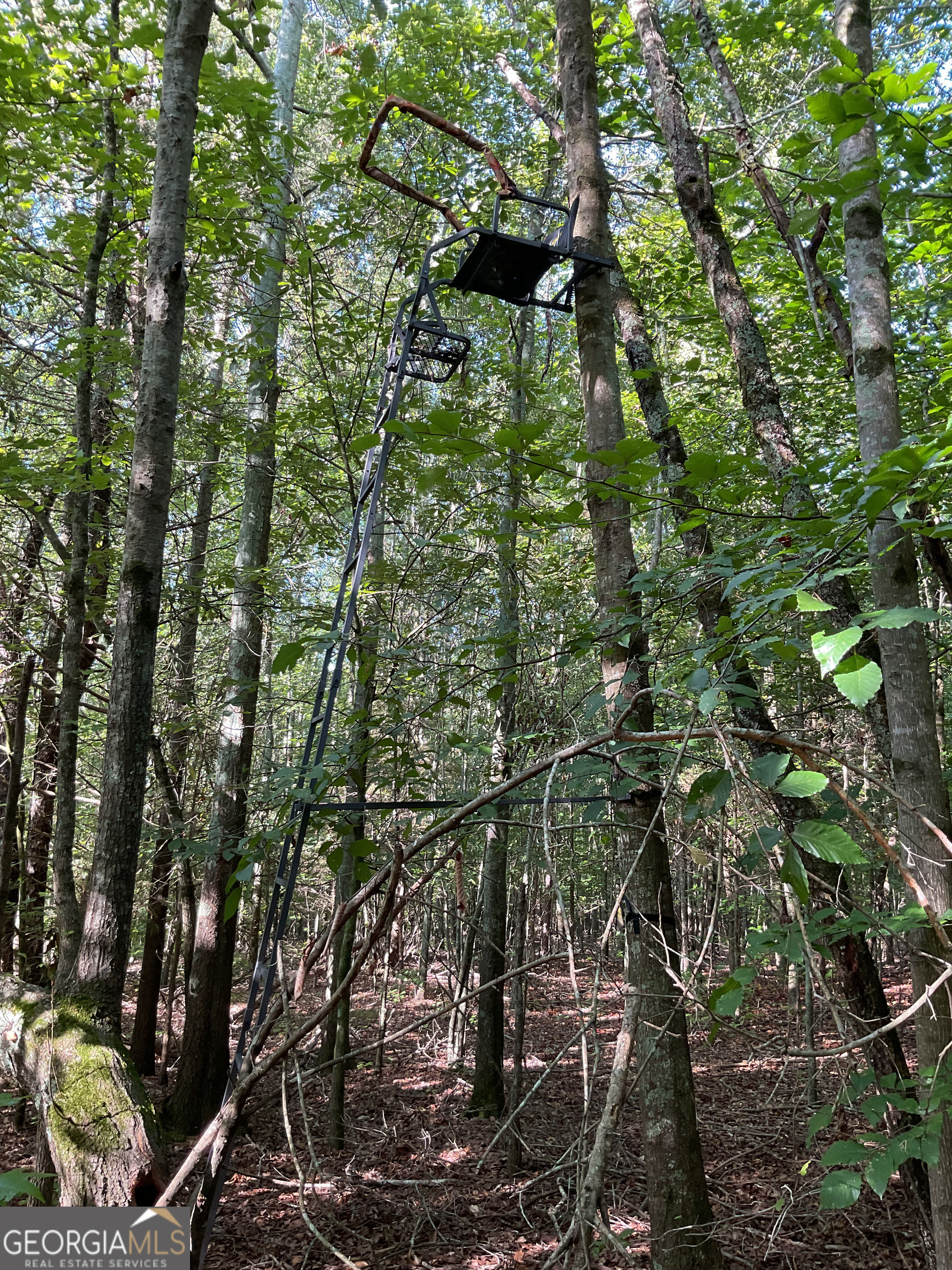 0 Bowers Street, Unit LOT 18 Bowman, GA 30624 - Photo 8 of 8 a backyard of a house with lots of trees