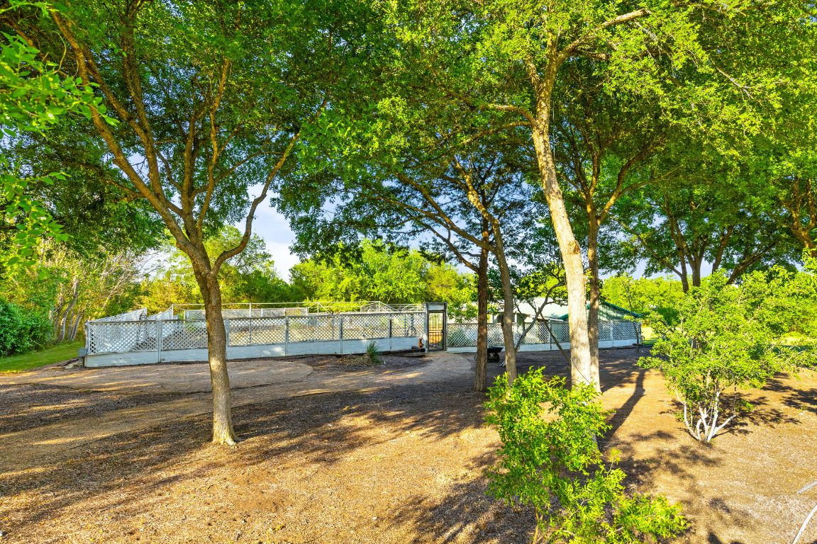 999 Schwarzlose Road New Braunfels, TX 78130 - Photo 28 of 39 a view of a yard with plants and trees