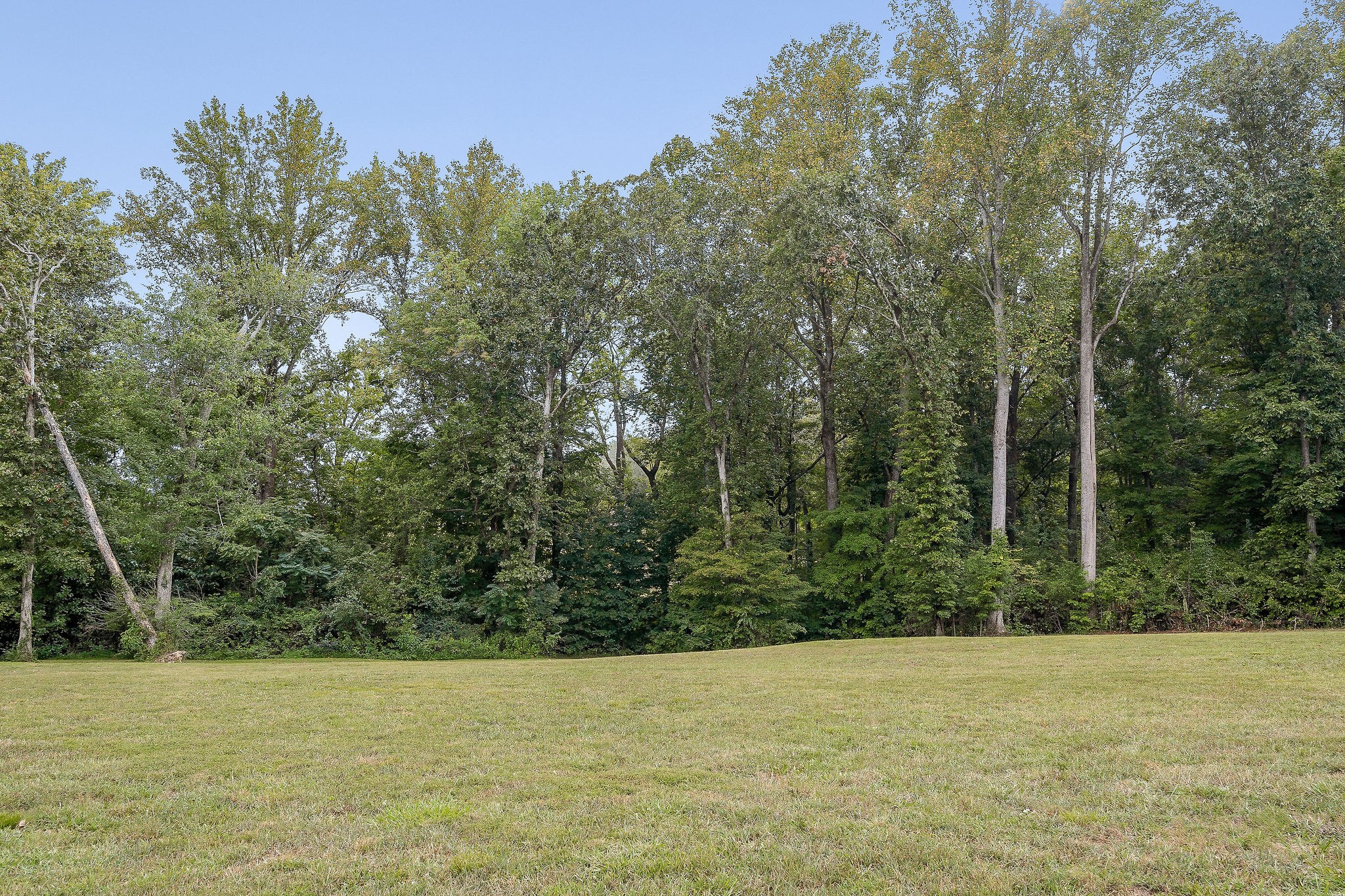 3793 7 Springs Road Smithville, TN 37166 - Photo 50 of 50 Gallery Image 50