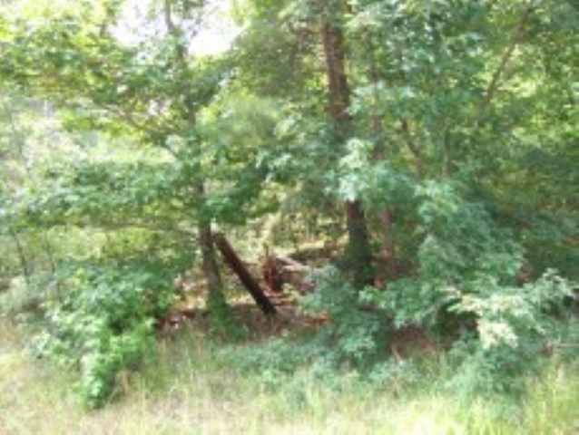 945 Kesler Road Carnesville, GA 30521 - Photo 2 of 3