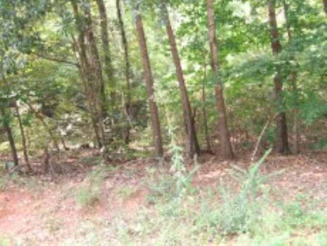 945 Kesler Road Carnesville, GA 30521 - Photo 3 of 3
