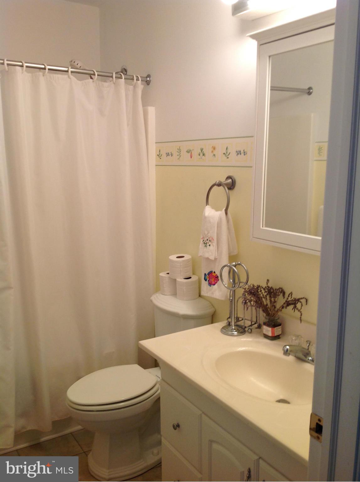 5754 Crosby Road Rock Hall, MD 21661 - Photo 11 of 26 Bath (Master)