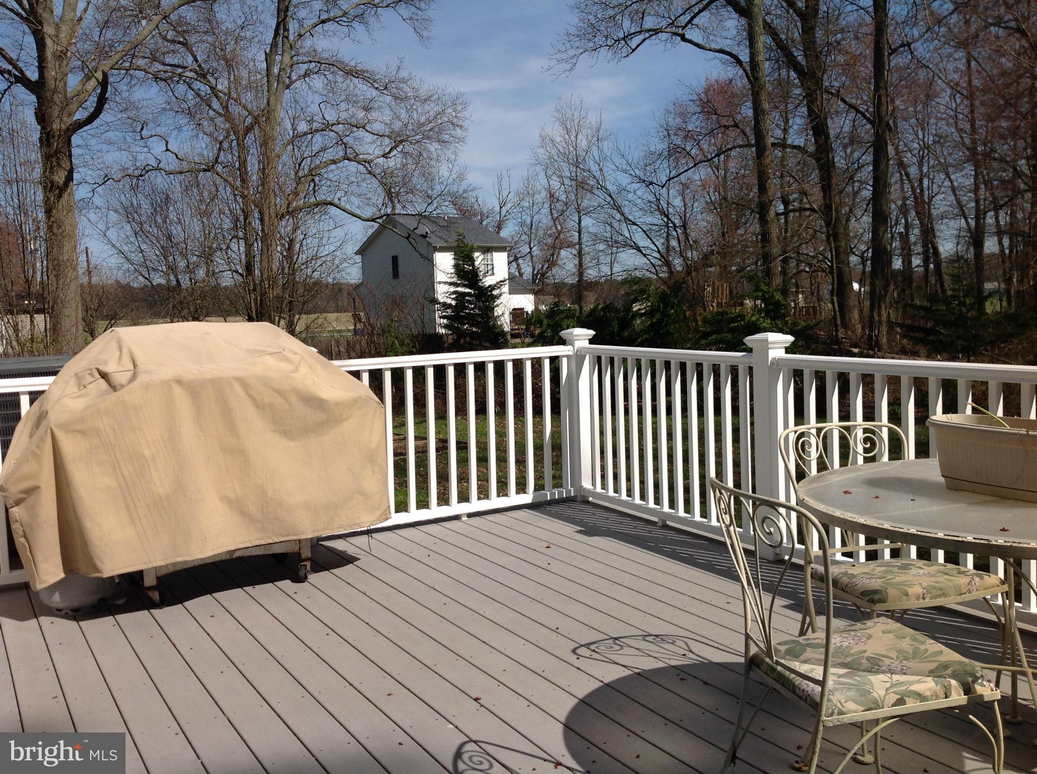 5754 Crosby Road Rock Hall, MD 21661 - Photo 20 of 26 Trex deck on rear