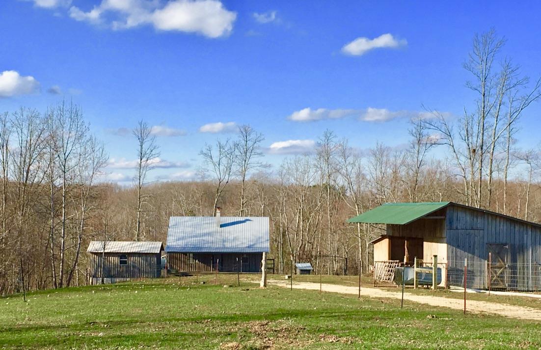3981 Muckle Branch Road Ethridge, TN 38456 - Photo 1 of 30 Gallery Image 1