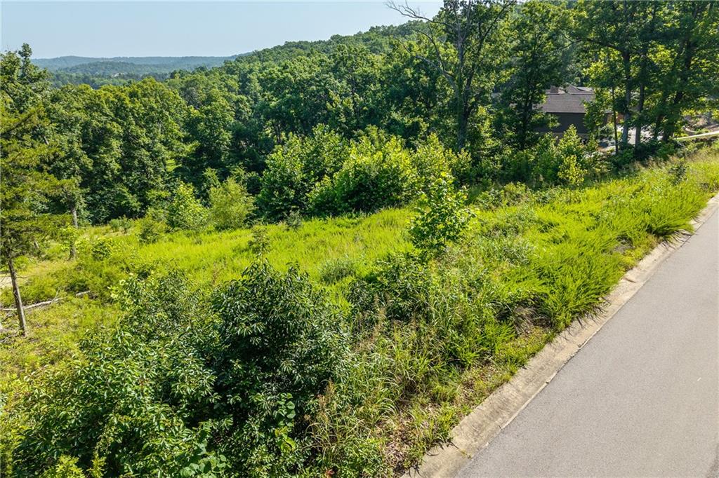 Lot 9 Country Ridge Drive Camdenton, MO 65020 - Photo 4 of 41
