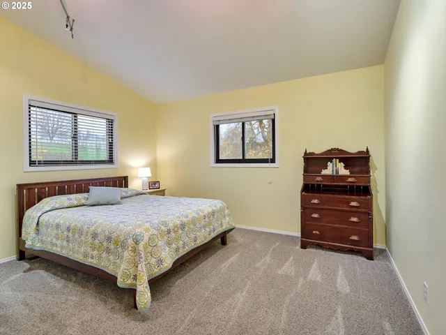 a bedroom with a bed and a dresser