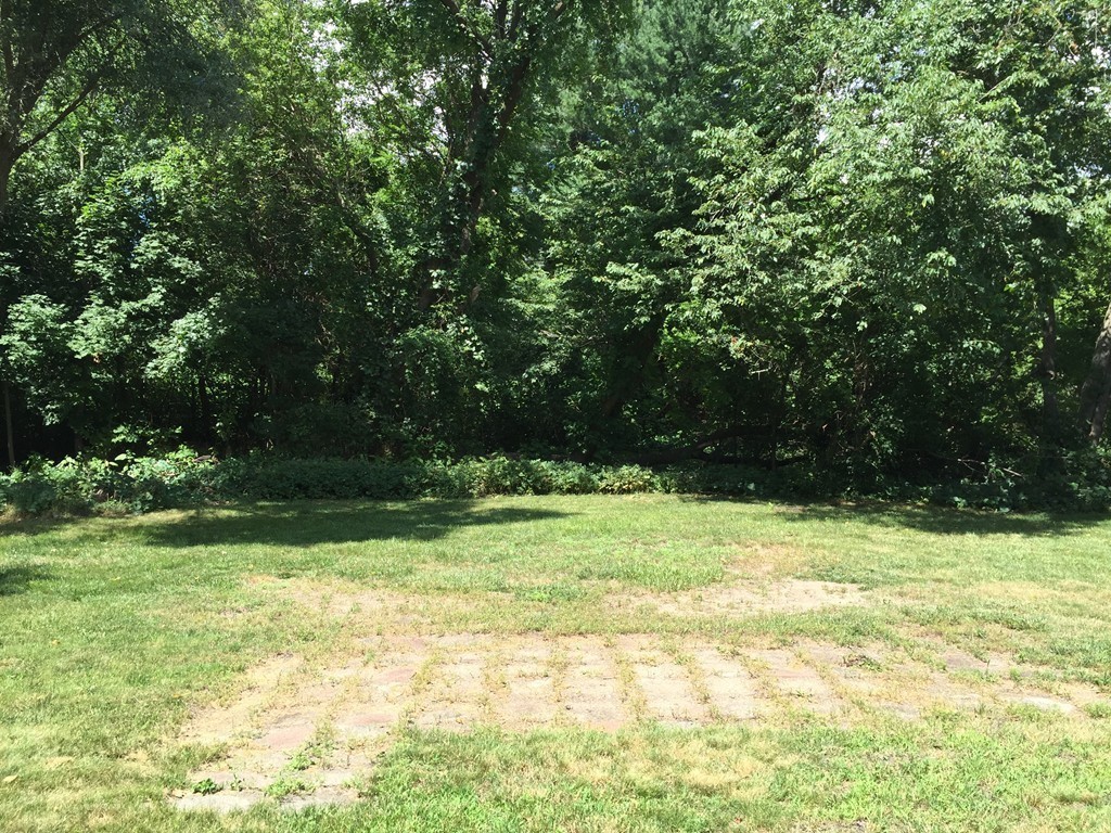 19 Truman Road Newton, MA 02459 - Photo 15 of 16