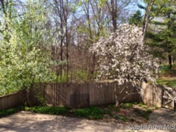 2861 Carriage Lane Springfield, IL 62707 - Photo 20 of 23 Gallery Image 20