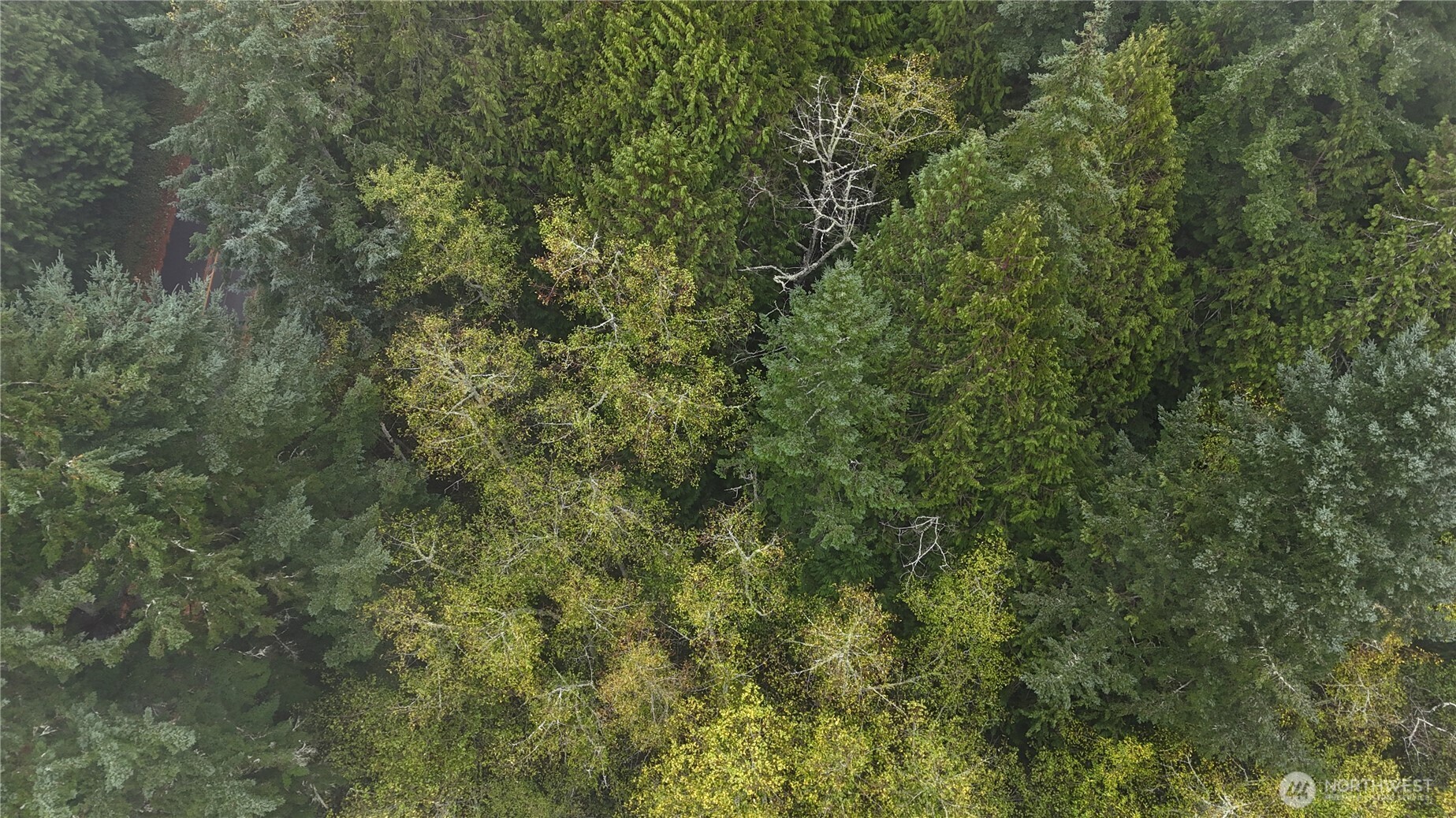 -xxx Jewett Road Clinton, WA 98236 - Photo 13 of 14