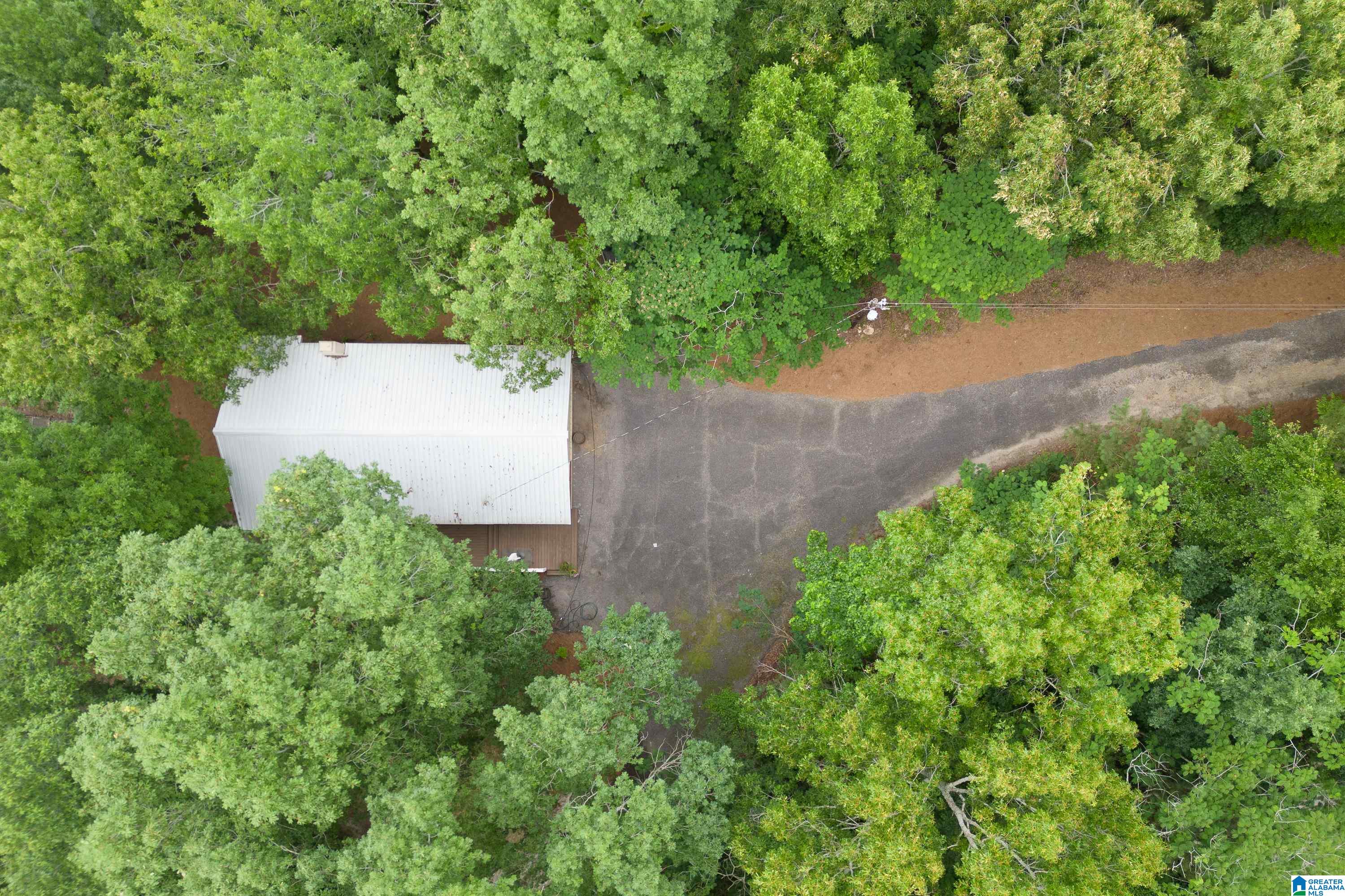 412 Tangled Way Shelby, AL 35143 - Photo 40 of 53