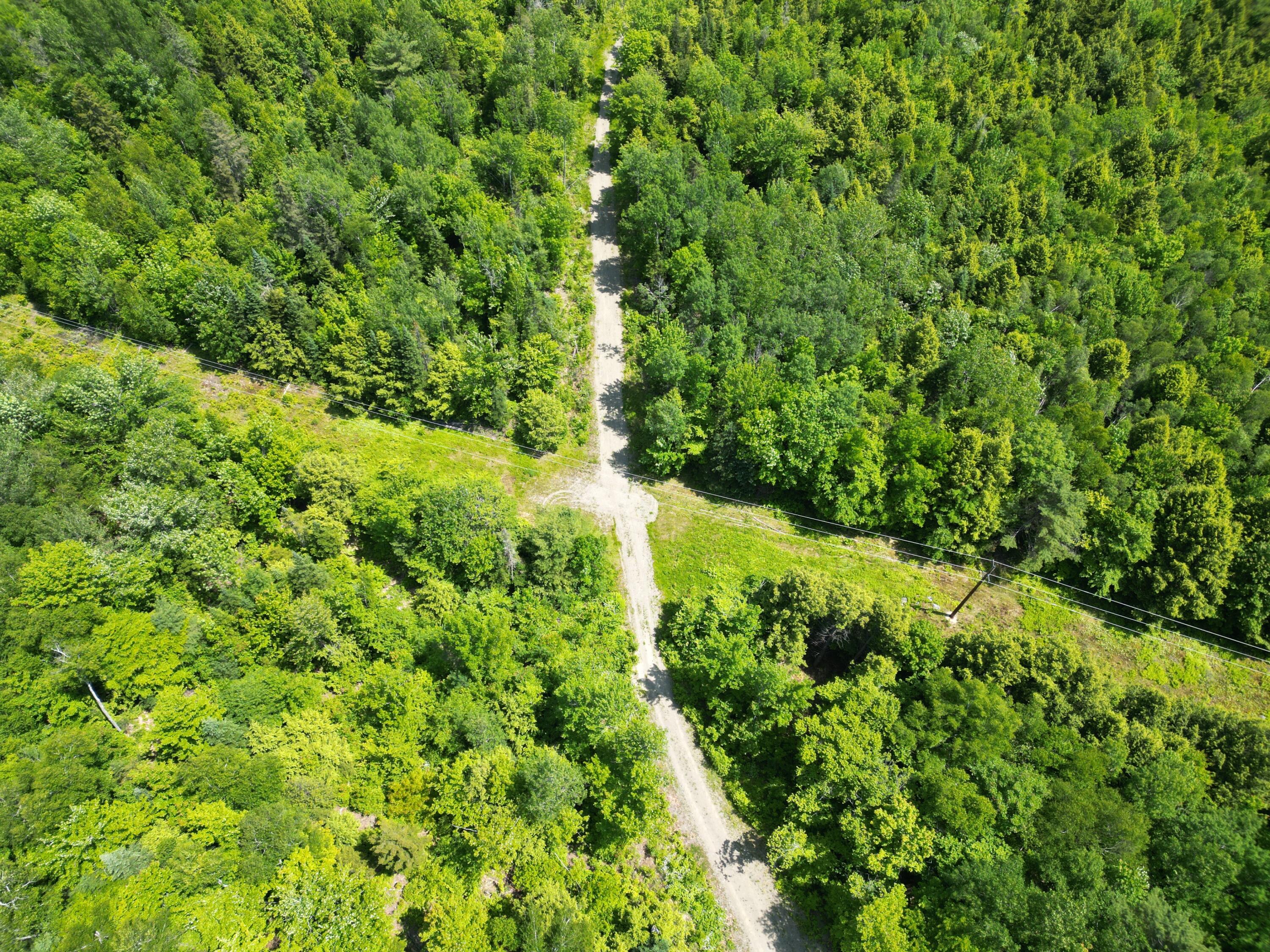 Lot 1 Keene Road Lincoln, ME 04457 - Photo 16 of 22 DJI_0317