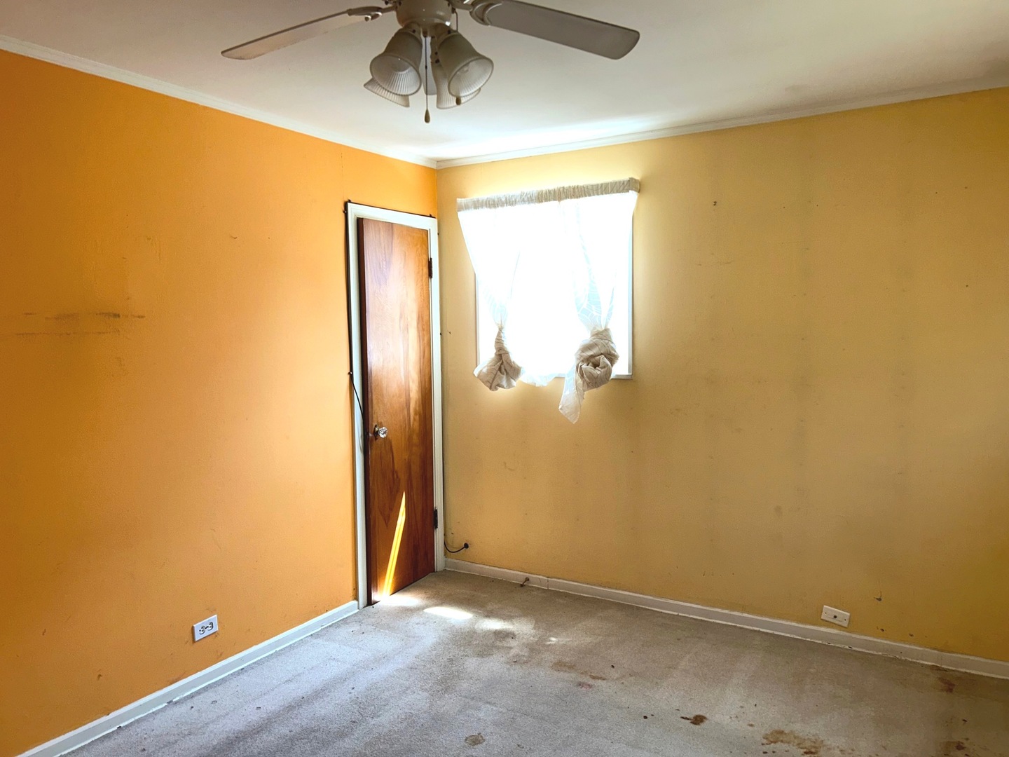 2222 Spruce Road Homewood, IL 60430 - Photo 15 of 21 Gallery Image 15