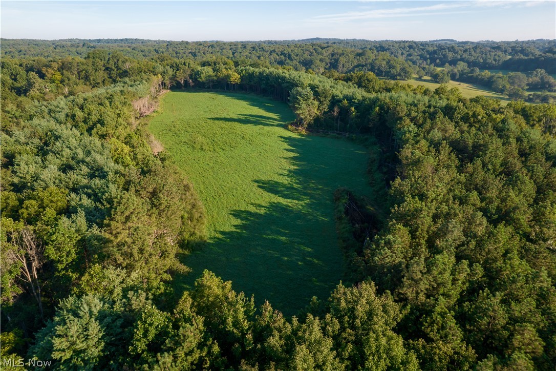 Perl Road Chandlersville, OH 43727 - Photo 41 of 50 Gallery Image 41