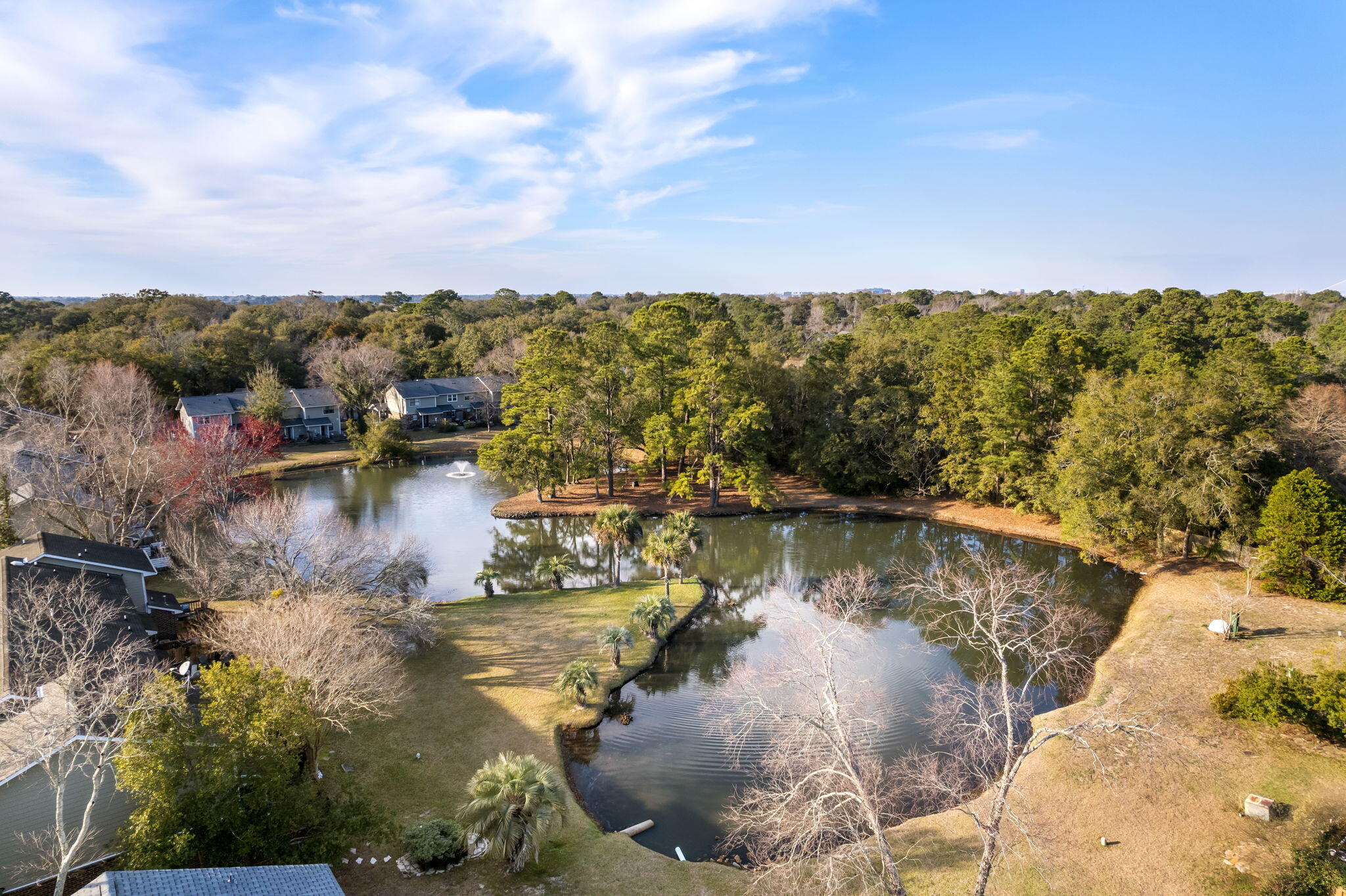 1150 Julian Clark Road, Unit 31 Charleston, SC 29412 - Photo 27 of 34 Aerial Shot