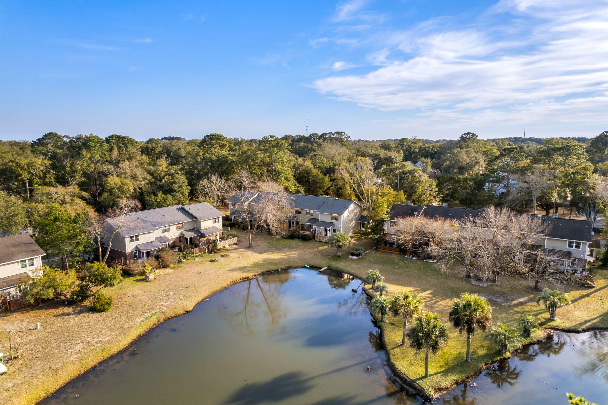 1150 Julian Clark Road, Unit 31 Charleston, SC 29412 - Photo 28 of 34 Aerial Shot