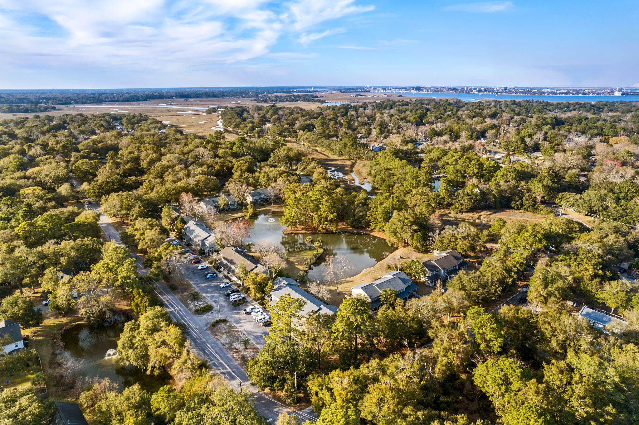 1150 Julian Clark Road, Unit 31 Charleston, SC 29412 - Photo 30 of 34 Aerial Shot