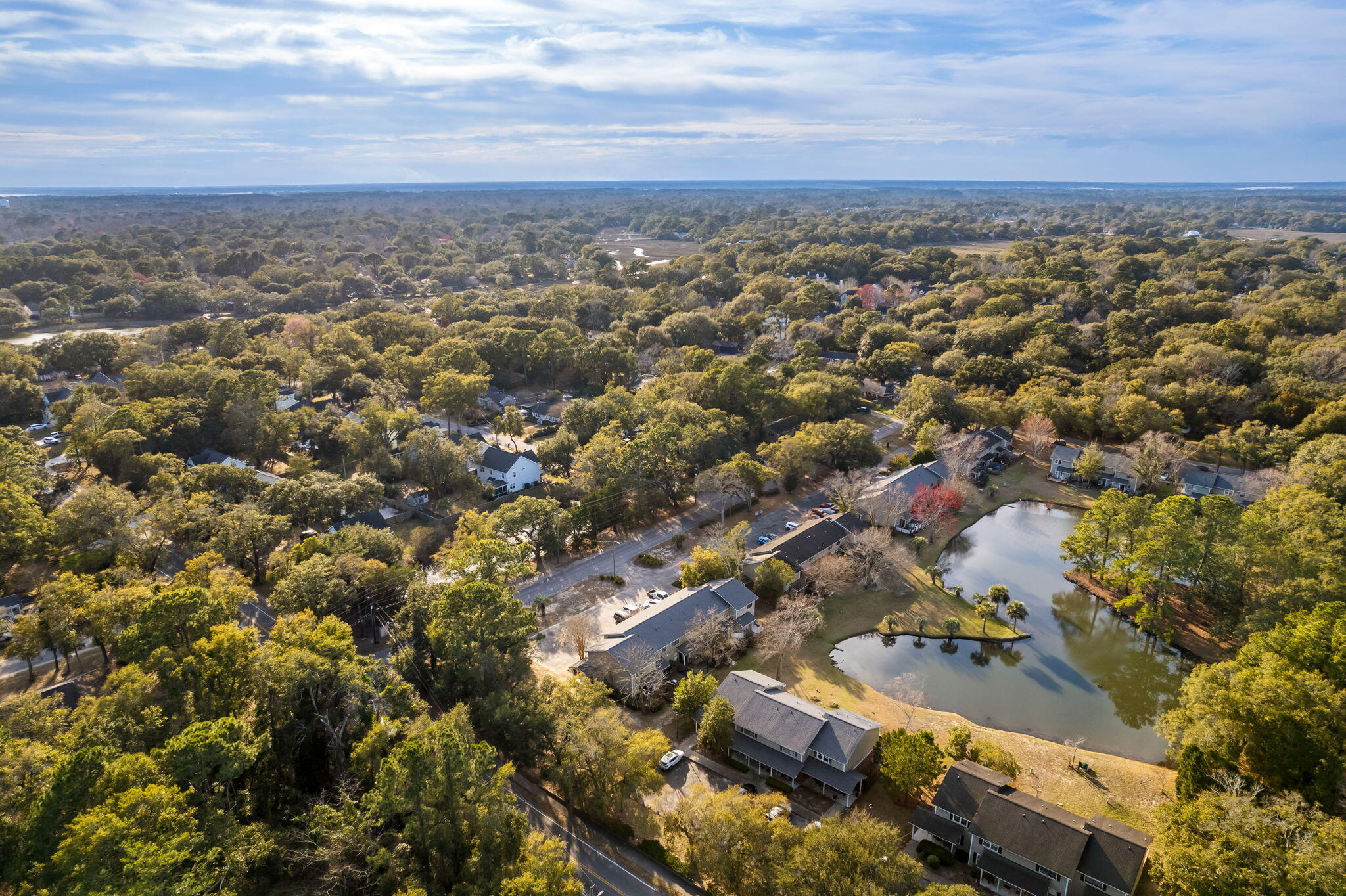 1150 Julian Clark Road, Unit 31 Charleston, SC 29412 - Photo 31 of 34 Aerial Shot