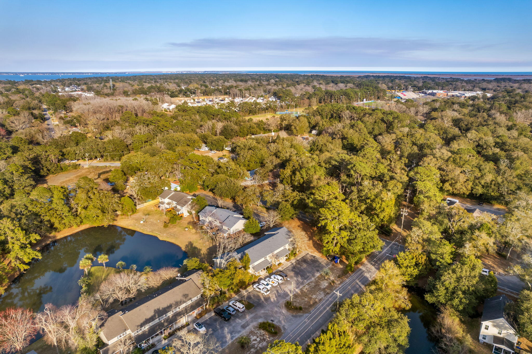 1150 Julian Clark Road, Unit 31 Charleston, SC 29412 - Photo 33 of 34 Aerial Shot
