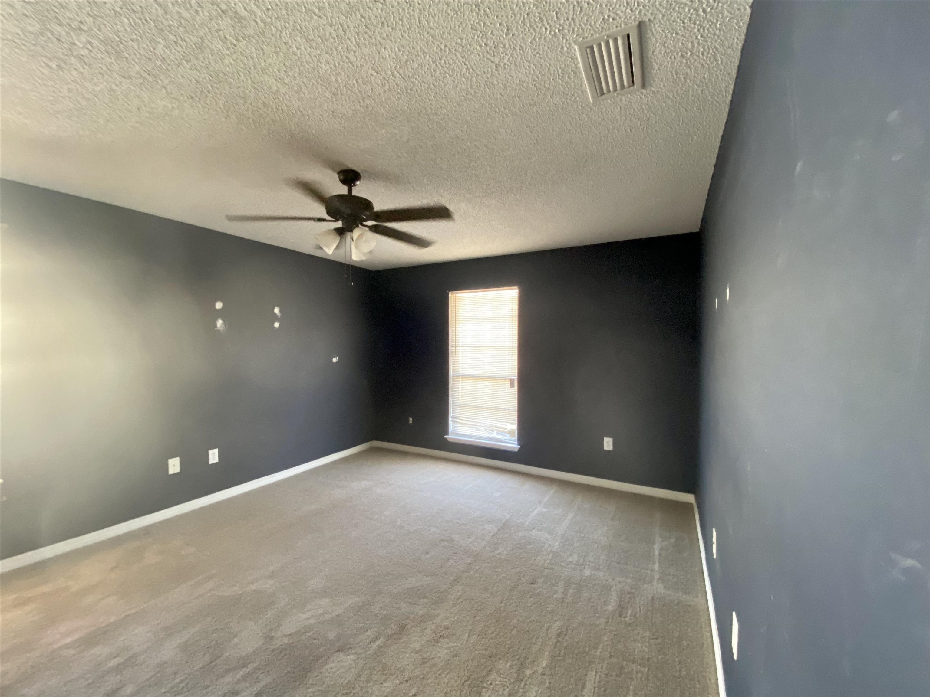 24401 Gemstone Drive Loxley, AL 36551 - Photo 5 of 21