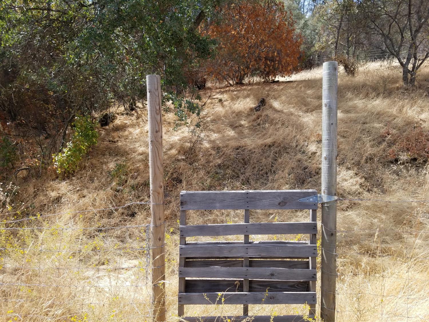 28668 Nancy Road Tollhouse, CA 93667 - Photo 10 of 11 Gallery Image 10