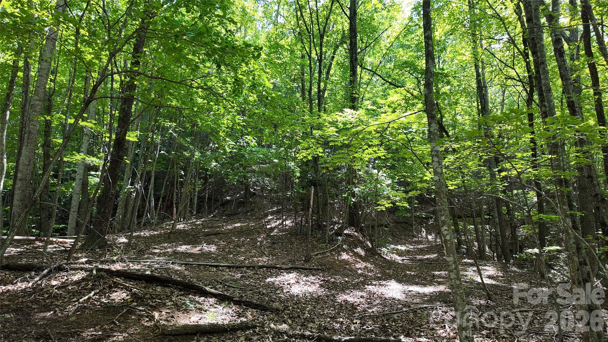 99999 Saw Branch Road Candler, NC 28715 - Photo 16 of 37 Gallery Image 16