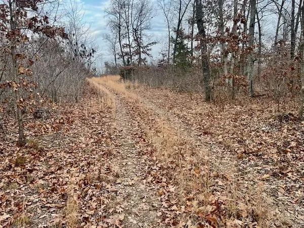$314,675 | 0 125.87 Ac Tract1-a Clear Creek Road, Richwoods, MO 63071