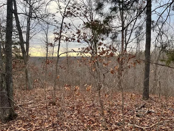 $314,675 | 0 125.87 Ac Tract1-a Clear Creek Road, Richwoods, MO 63071