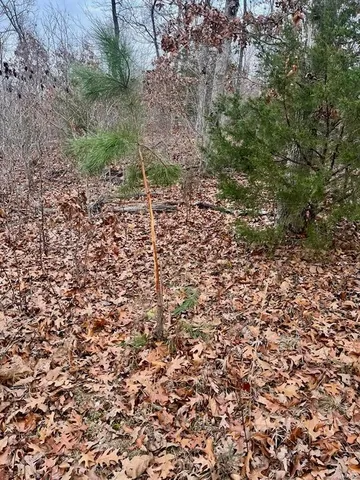 $314,675 | 0 125.87 Ac Tract1-a Clear Creek Road, Richwoods, MO 63071