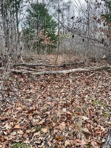 $314,675 | 0 125.87 Ac Tract1-a Clear Creek Road, Richwoods, MO 63071