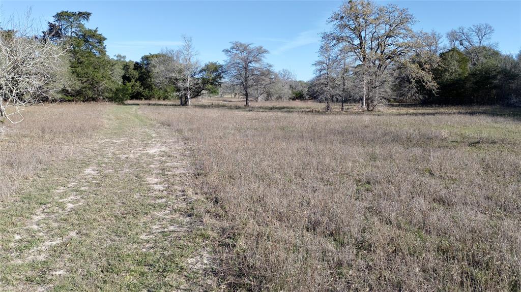 440 Boulton Creek Road Muldoon, TX 78949 - Photo 13 of 29