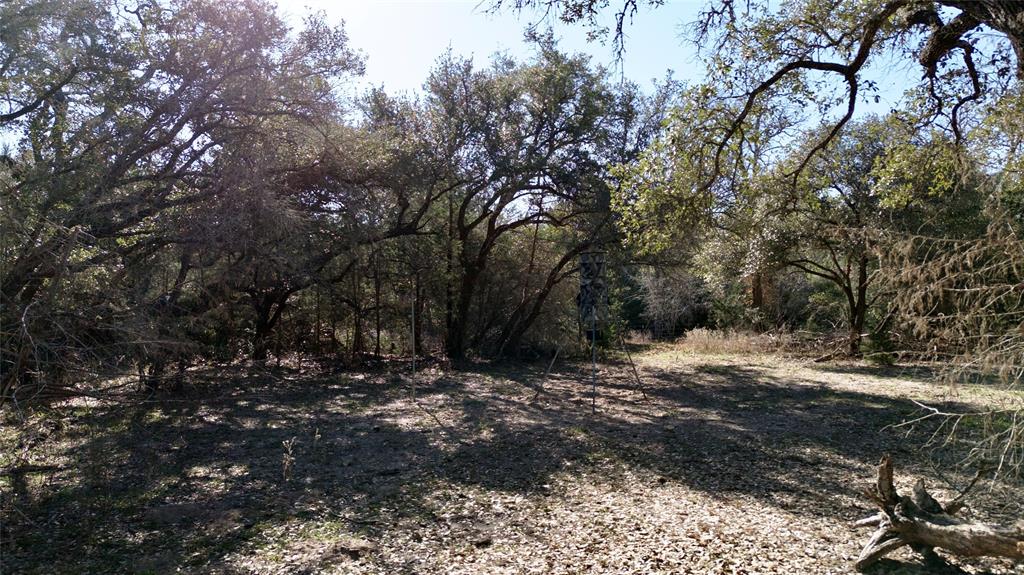 440 Boulton Creek Road Muldoon, TX 78949 - Photo 18 of 29