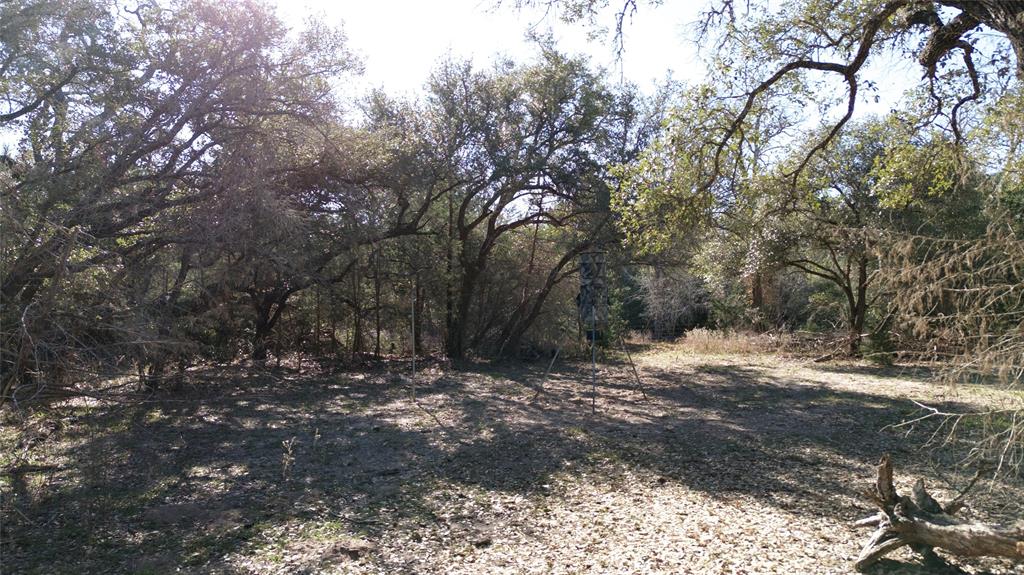 440 Boulton Creek Road Muldoon, TX 78949 - Photo 19 of 29