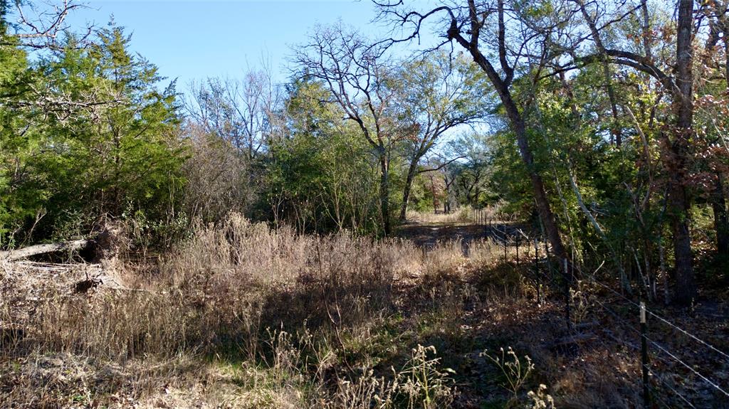 440 Boulton Creek Road Muldoon, TX 78949 - Photo 20 of 29