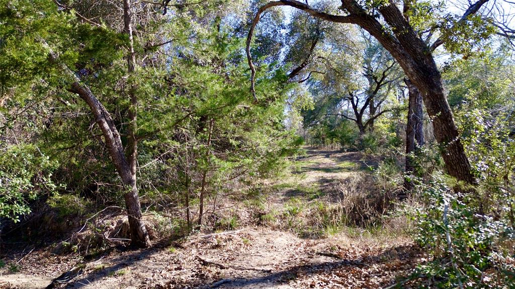 440 Boulton Creek Road Muldoon, TX 78949 - Photo 21 of 29