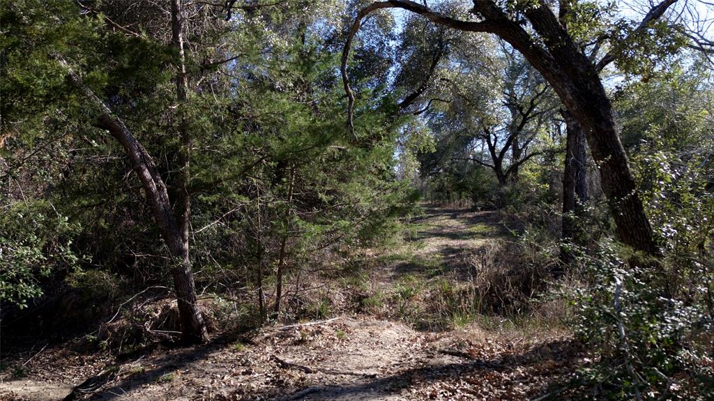 440 Boulton Creek Road Muldoon, TX 78949 - Photo 22 of 29