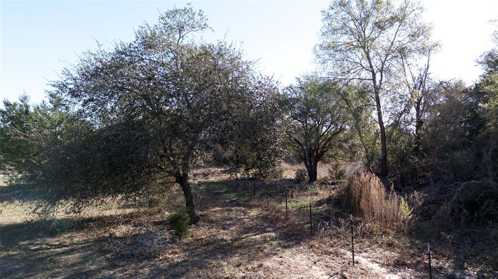 440 Boulton Creek Road Muldoon, TX 78949 - Photo 24 of 29