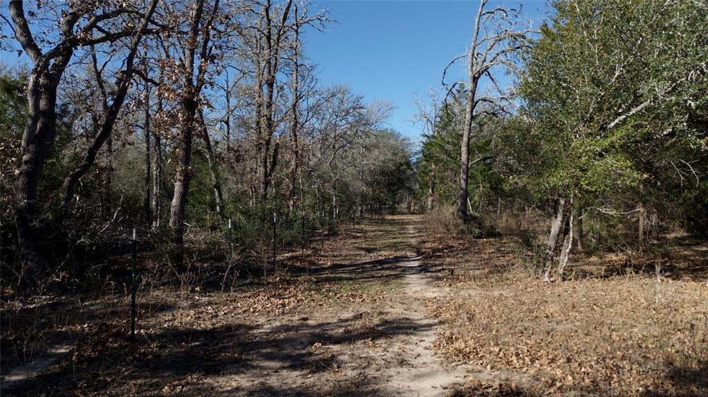 440 Boulton Creek Road Muldoon, TX 78949 - Photo 26 of 29