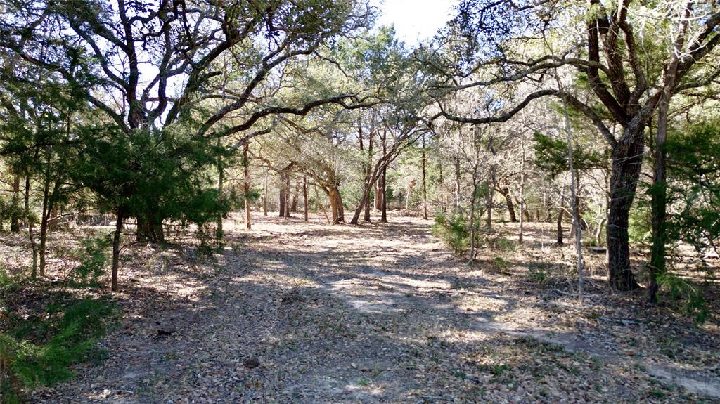 440 Boulton Creek Road Muldoon, TX 78949 - Photo 27 of 29