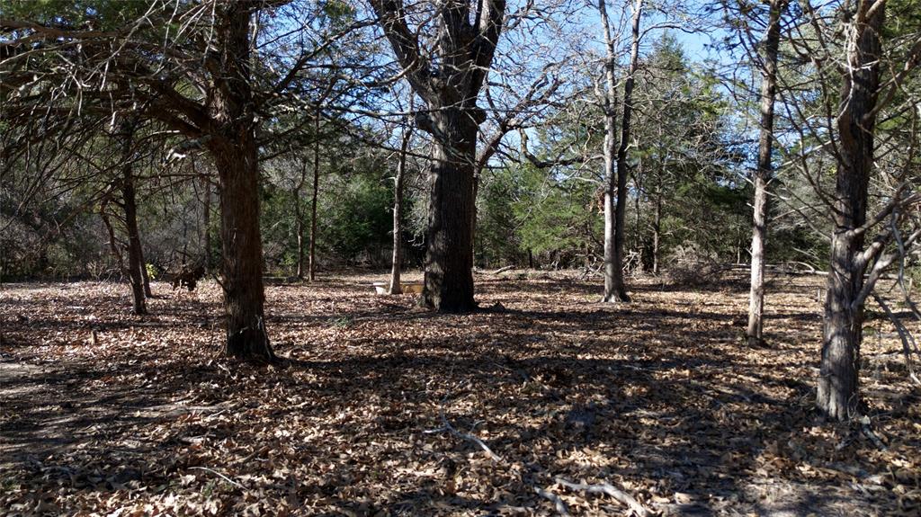 440 Boulton Creek Road Muldoon, TX 78949 - Photo 29 of 29