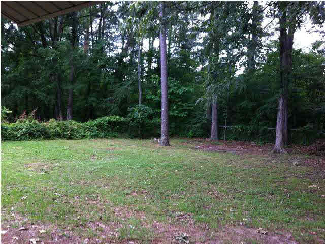 121 Cumberland Road Brandon, MS 39047 - Photo 7 of 8 View oF Back Yard