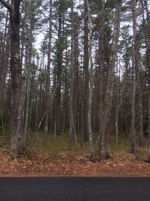 0 Th Wells Wytopitlock, ME 04497 - Photo 1 of 2 Photo
