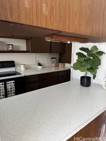 a kitchen with a sink and a potted plant