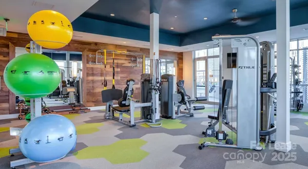 $3,242 | 650 East Brooklyn Vlg Avenue, Unit C1, Charlotte, NC 28202