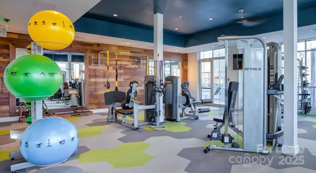 $1,399 | 650 East Brooklyn Vlg Avenue, Unit S1, Charlotte, NC 28202