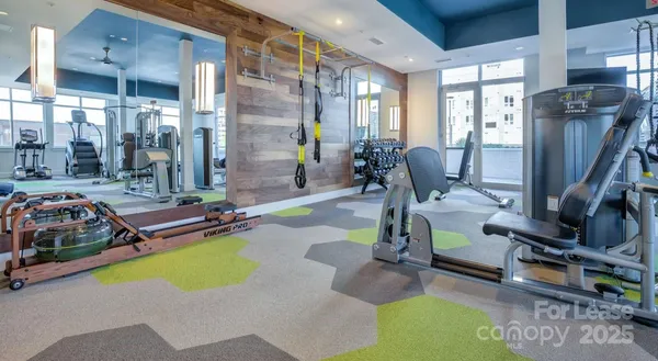 $3,242 | 650 East Brooklyn Vlg Avenue, Unit C1, Charlotte, NC 28202