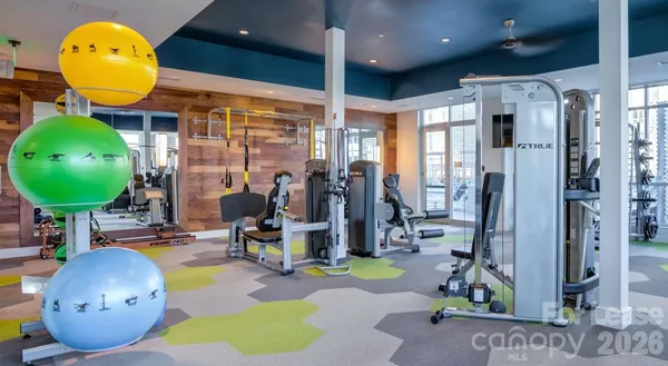 $2,382 | 650 East Brooklyn Vlg Avenue, Unit B1, Charlotte, NC 28202