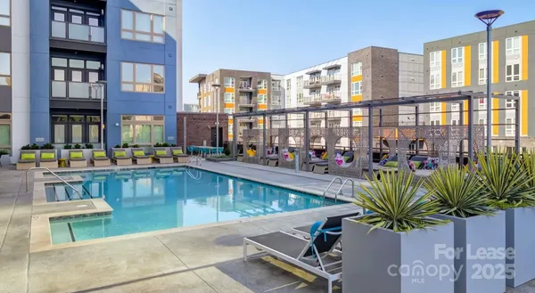 $3,242 | 650 East Brooklyn Vlg Avenue, Unit C1, Charlotte, NC 28202