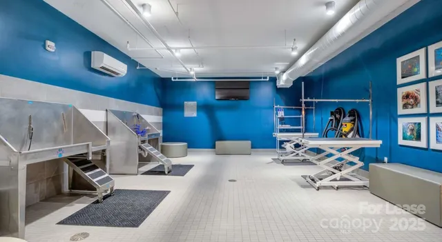 $1,399 | 650 East Brooklyn Vlg Avenue, Unit S1, Charlotte, NC 28202