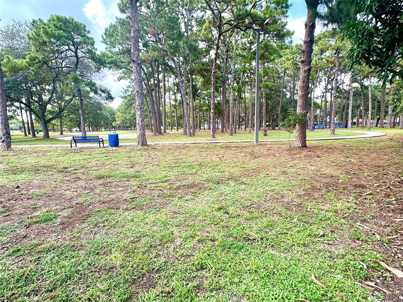 3947 Northwest 207 St Road Miami Gardens, FL 33055 - Photo 23 of 23 a view of a trees with a big yard